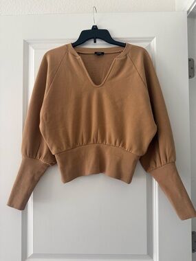 Express Camel V-Neck Cropped Sweatshirt